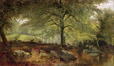 Cervi in un bosco da Joseph Denovan Adam